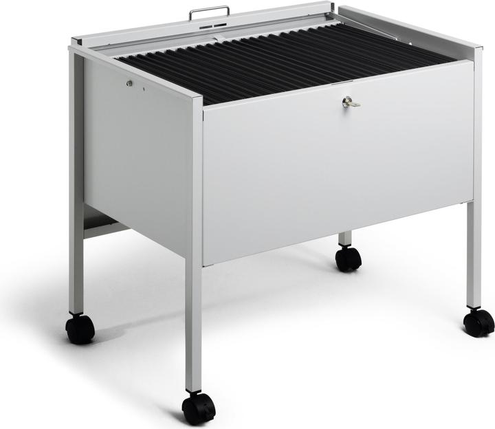 Immagine prodotto Durable CARRELLO A SOSPENSIONE ECONOMY 80 A4 TOP 1 PC 309810 (66 x 44.50 x 59 cm)