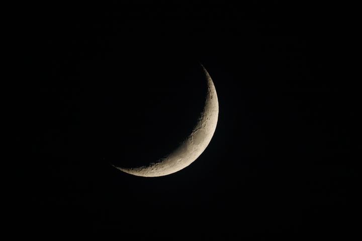 Immagine prodotto Canon RF 800mm f/11 IS STM (Canon RF, Full frame)