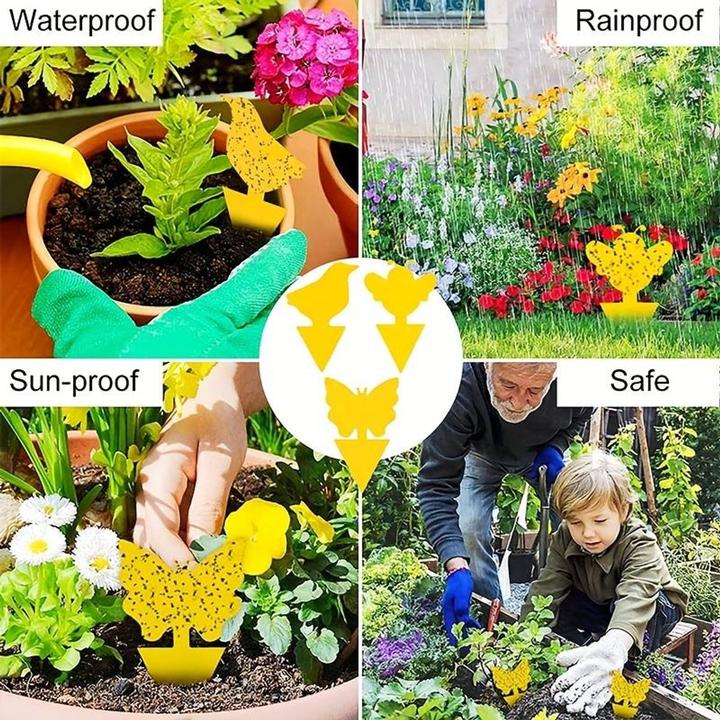 Actual product image König Design Flypaper yellow boards (20 pieces)