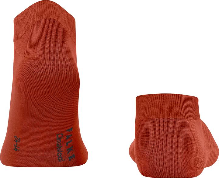 Produktbild Falke ClimaWool Mikrofasersneakersocken (Einzelpack, 45 - 46)