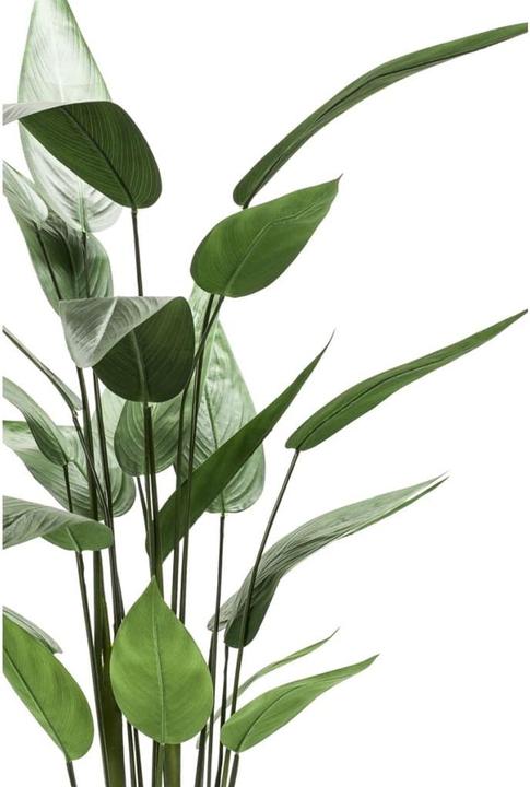 Image du produit Emerald Bara (125 cm)