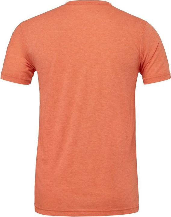 Actual product image Bella Canvas Adults Unisex Crew Neck T-Shirt (S)