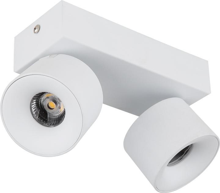 Actual product image Globo Rae