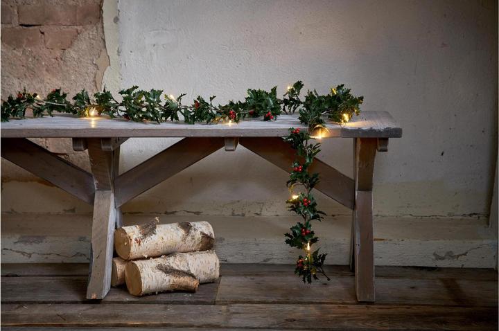 Produktbild Star Trading Holly