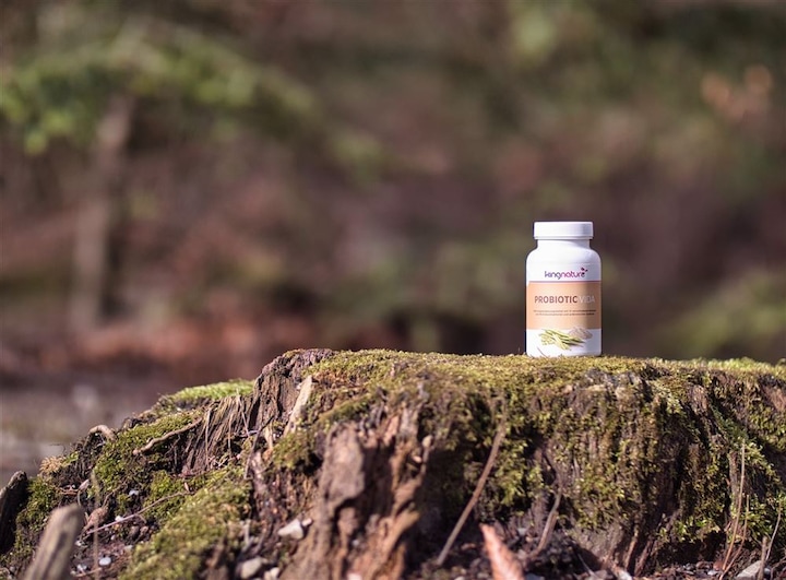 Produktbild Kingnature Probiotic Vida (1 Stück, Pulver, 90 g)