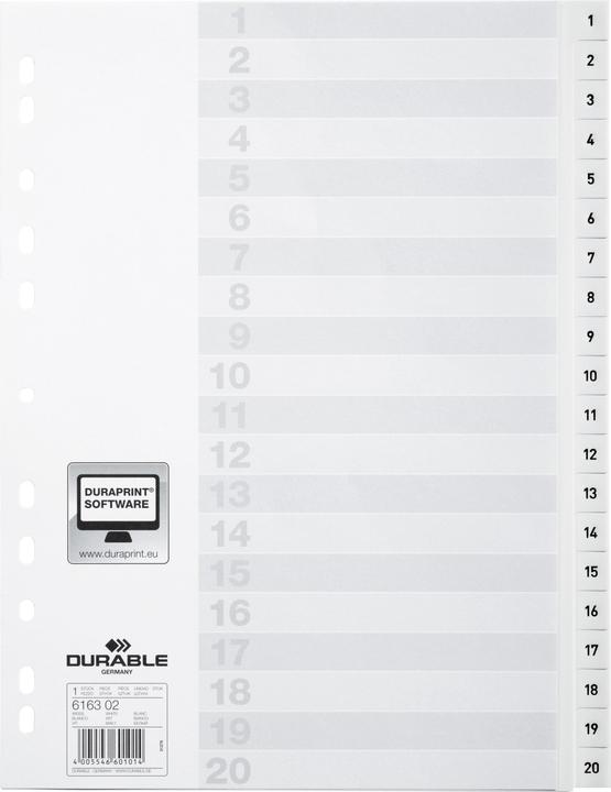 Actual product image Durable Index A4 1-20, with index sheet