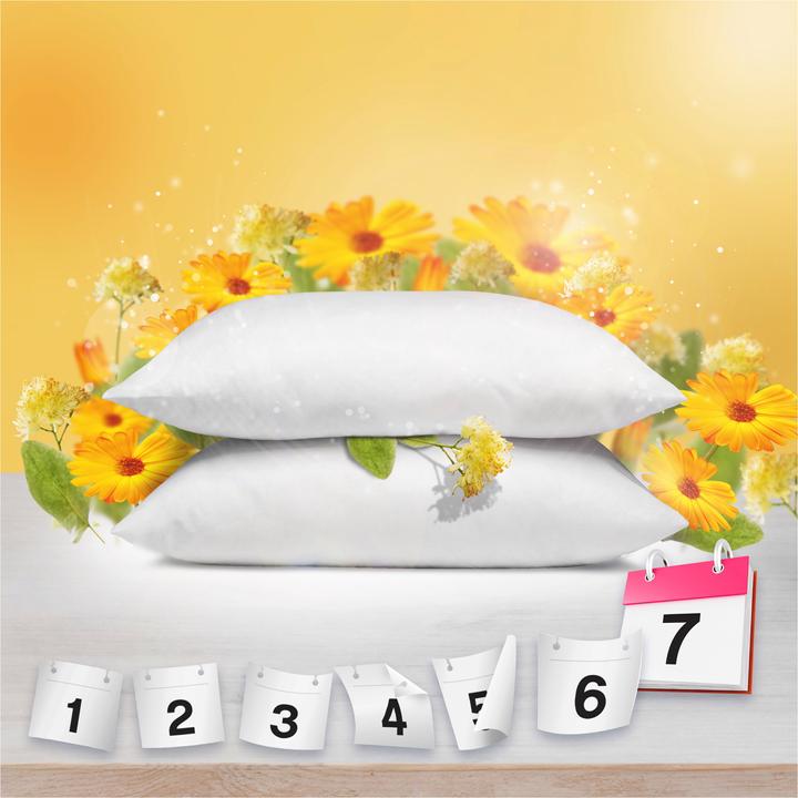 Actual product image Lenor Fabric softener (56 Washing cycles)