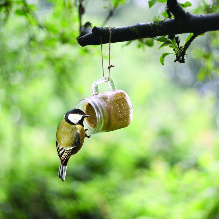 Produktbild Best for Birds FB830 (1 x, 0.57 kg)