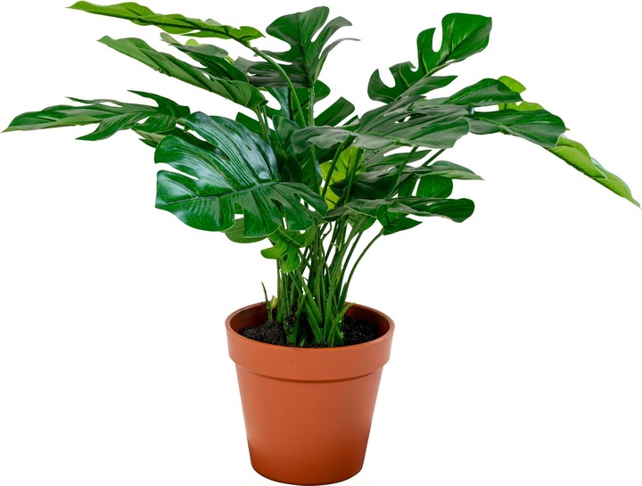 Immagine prodotto House Nordic Monstera (45 cm)