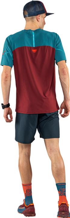 Immagine prodotto Dynafit Camicia Alpine Pro a maniche corte (XL)