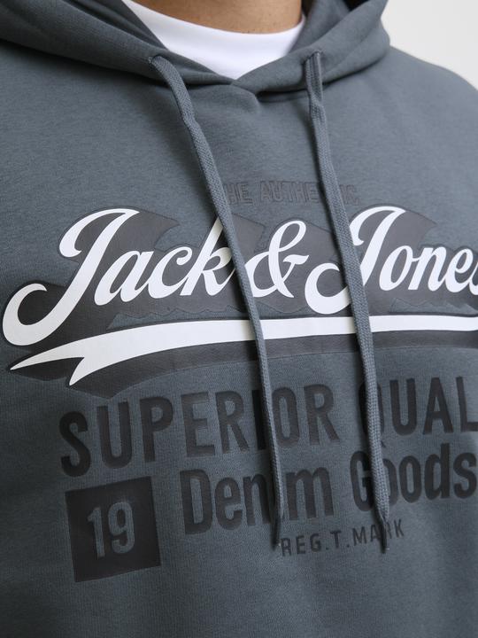 Actual product image Jack & Jones JJELOGO SWEAT HOOD 2 COL 24/25 NOOS PLS (4XL)