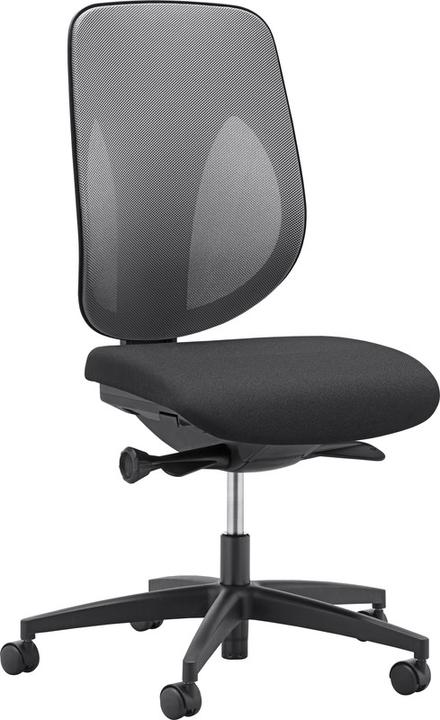 Giroflex Bürostuhl 353-4029 schwa/grau (39 - 51 cm)