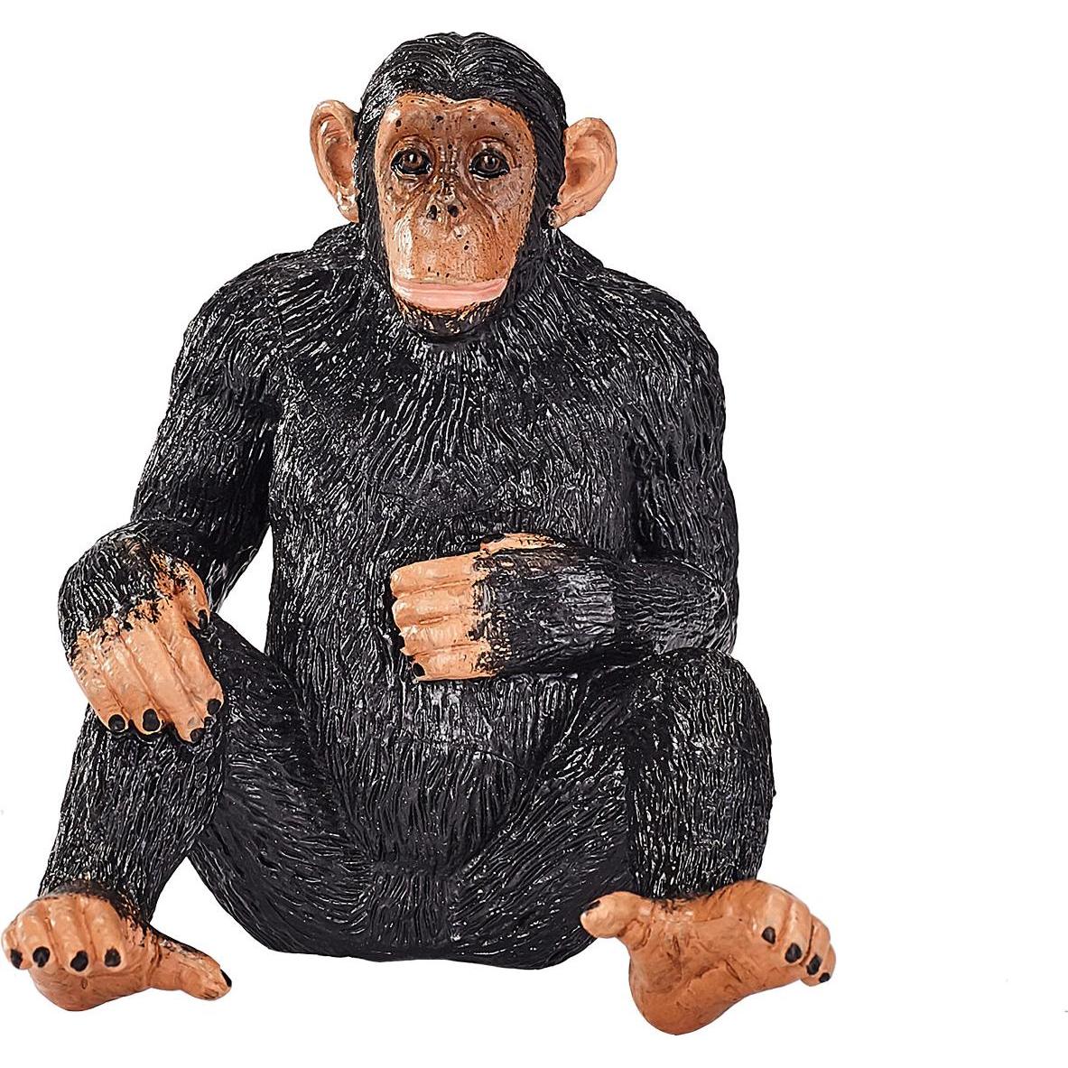 Animal Planet Schimpanse