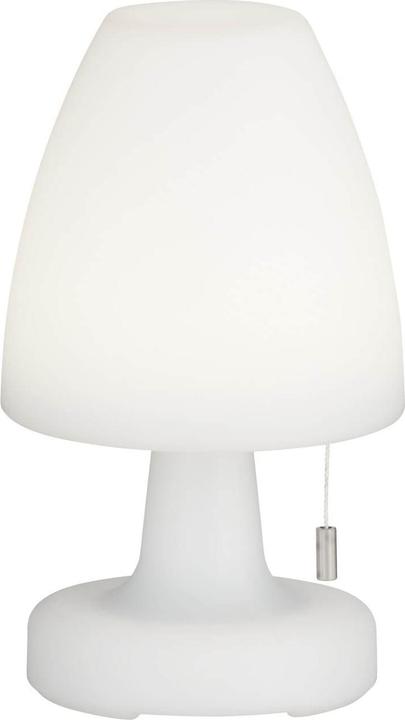 FHL easy FHL Termoli LED oplaadbare buitenlamp USB 1,5W RGB kleurregeling dimbaar IP44 850250 (IP44)