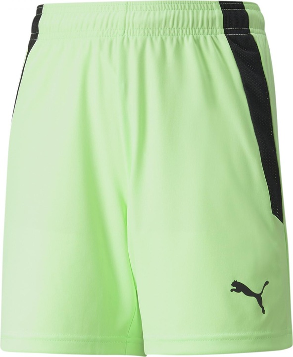 Actual product image Puma teamLIGA Shorts Jr-704931 (128)