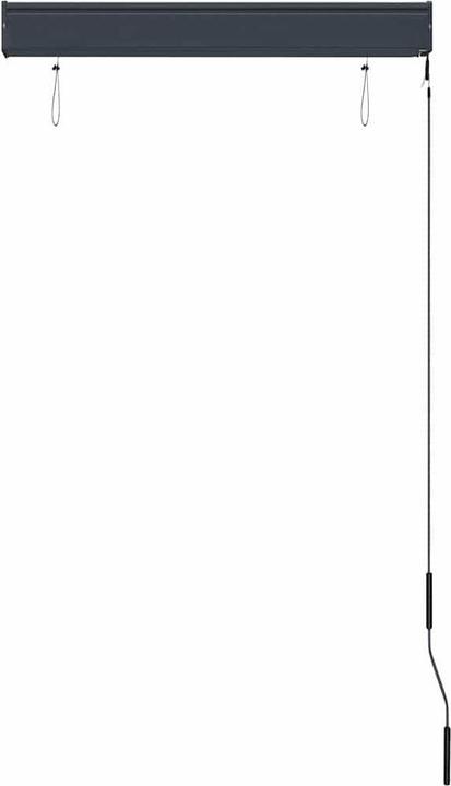 Produktbild vidaXL Aussenrollo (80 x 250 cm)