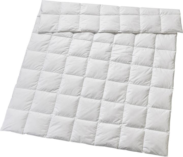 Produktbild Billerbeck Edition Elwine Light (860 g, 240 x 240 cm)