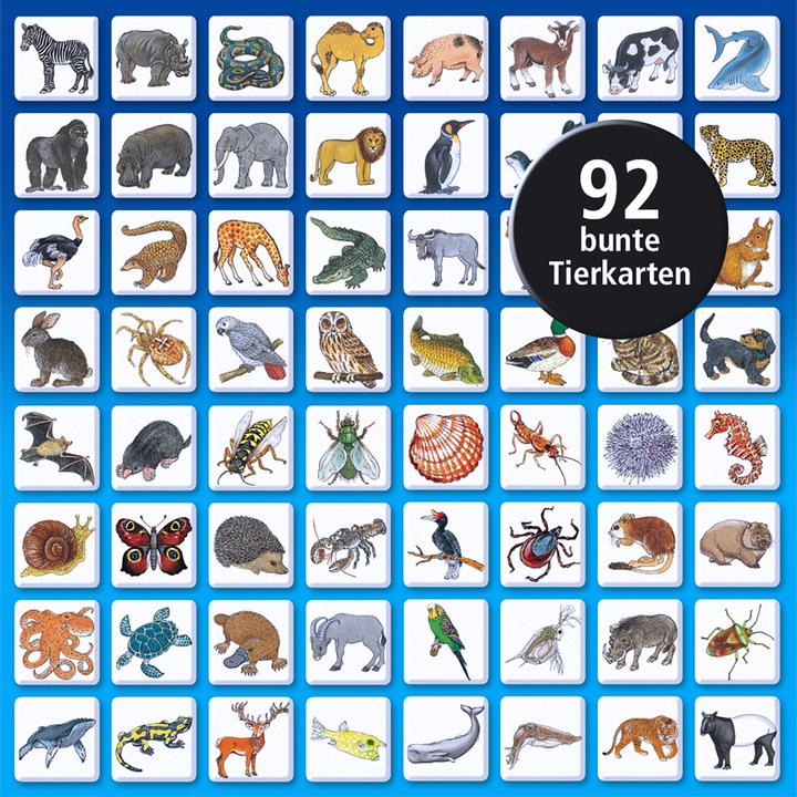 Actual product image Kosmos Can pigs fly? (German, 2 - 4 Players)