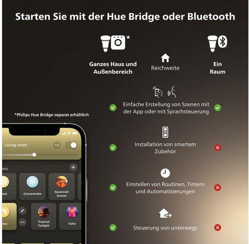 Produktbild Philips Hue White Ambiance Enrave (1200 lm)