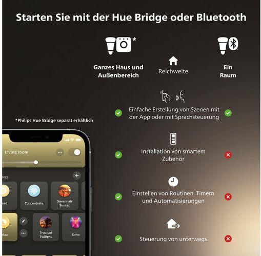 Immagine prodotto Philips Hue White Ambiance Enrave (1200 lm)