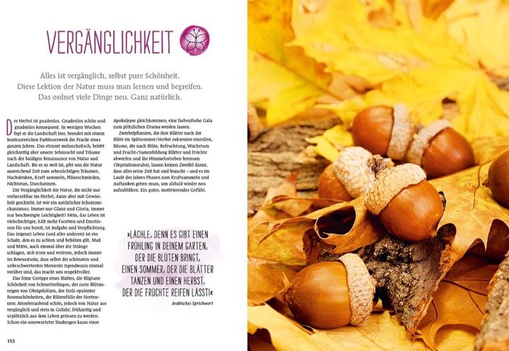 Produktbild Durch Gärtnern zur Achtsamkeit (Deutsch, Lars Weigelt, 2018)