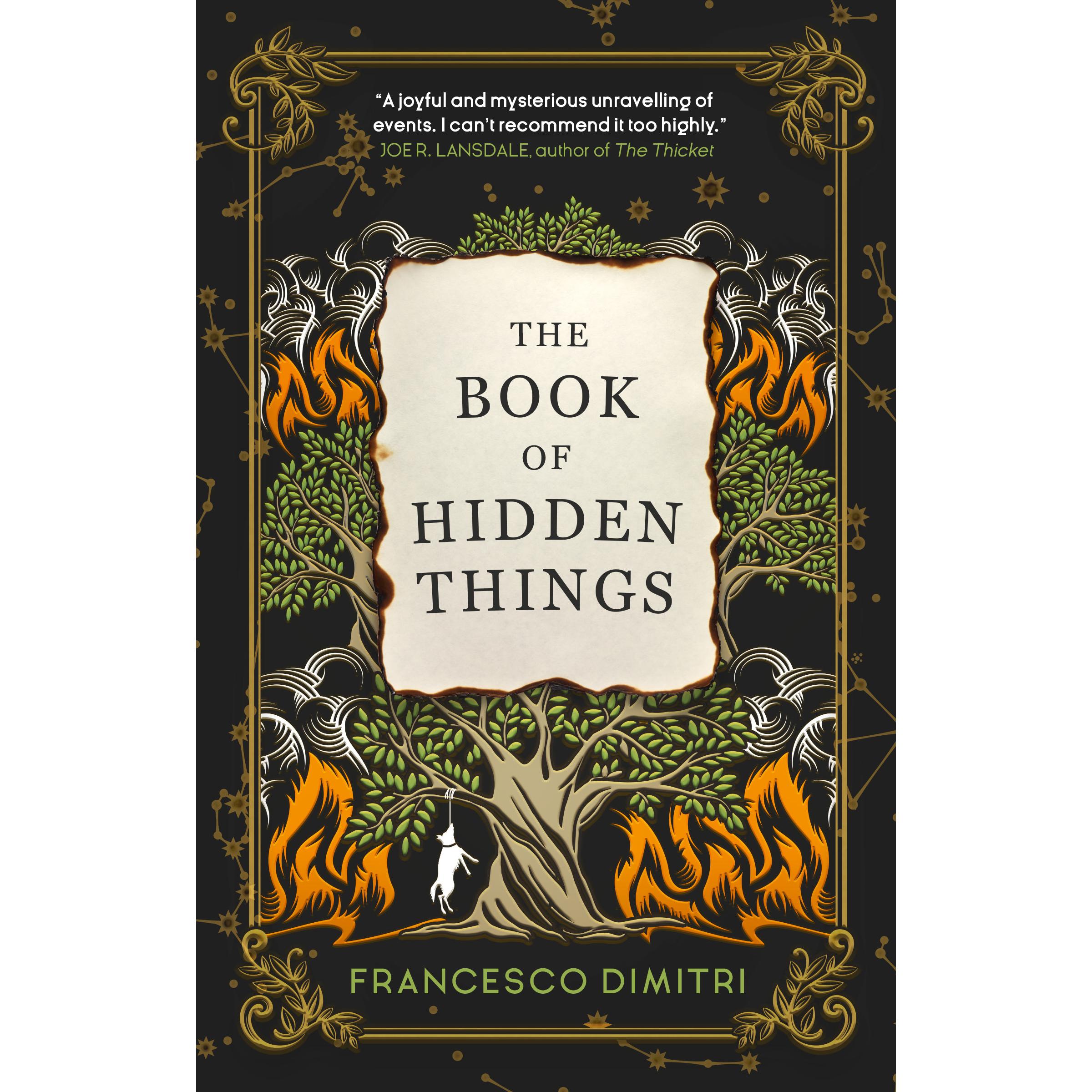 The Book of Hidden Things, Belletristik von Francesco Dimitri