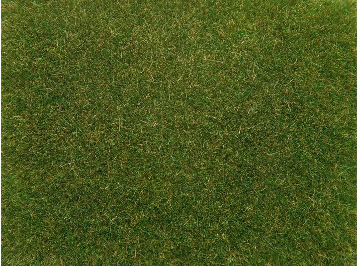 Actual product image Noch Scatter grass, 4 mm, 20g