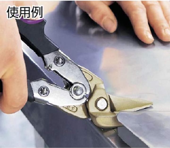 Actual product image Bessey Ideal scissors HSS-TiN D27AH-TIN (260 mm)