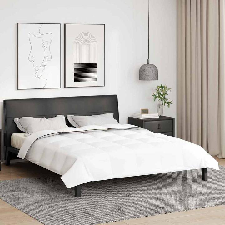 Immagine prodotto vidaXL Winterbettdecke (220 x 260 cm)
