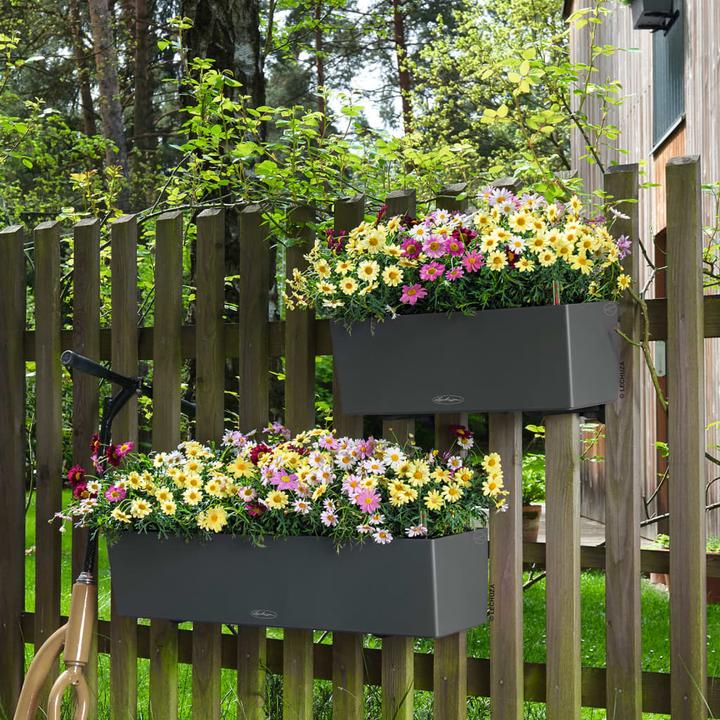 Actual product image Lechuza Balconera Color (19 cm)