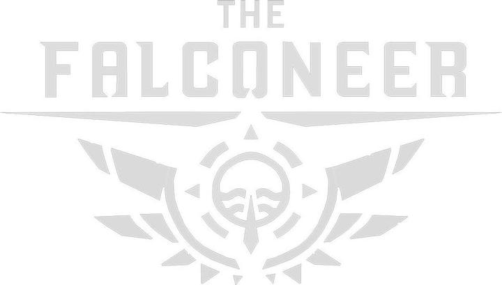 Actual product image Wired Productions Falconeer - Warrior Edition (PS4, DE)