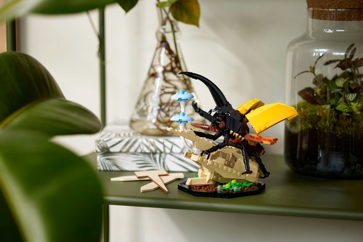 Actual product image LEGO Ideas The insect collection (21342, LEGO Ideas)