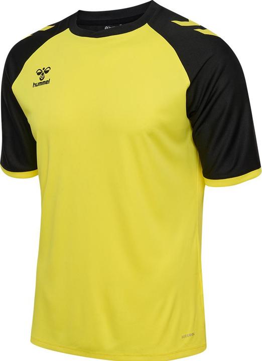 Black, Blazing, Yellow