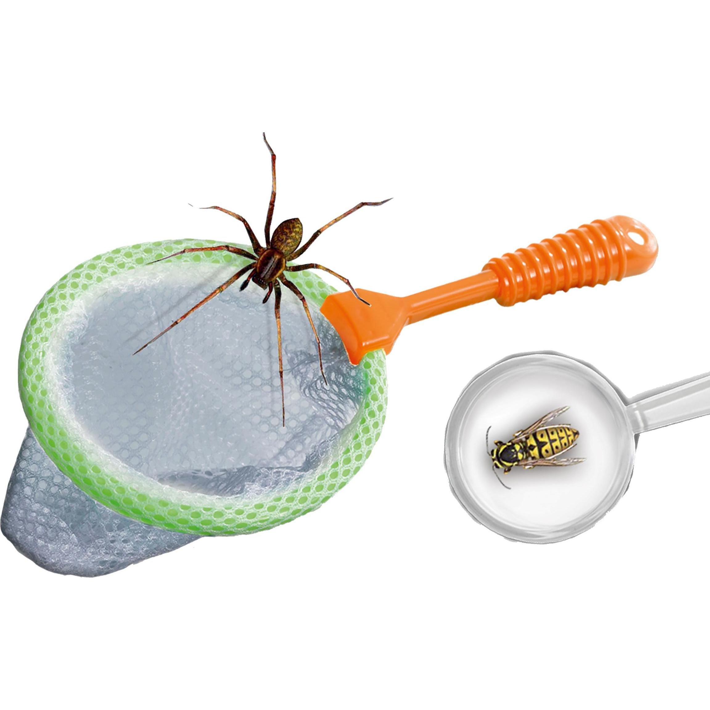 Thumbnail - Ses Insecten Explorer