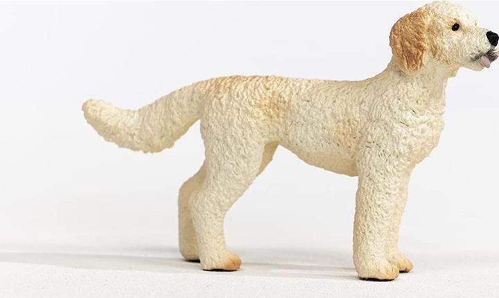 Image du produit Schleich Chien Goldendoodle