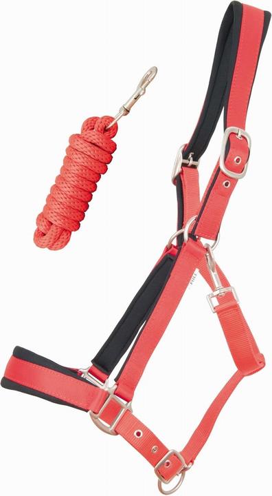 Immagine prodotto TdeT Capestro per cavallo satinato foderato con corda rotonda