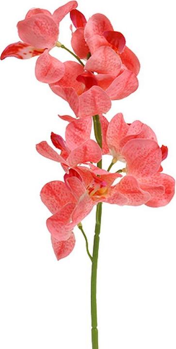 Viana Knstliche Mokara Orchidee fr exotische Wohnraumdekoration 6er Set -  Galaxus
