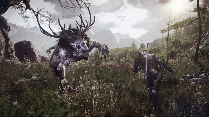 Immagine prodotto The Witcher 3 : Wild Hunt