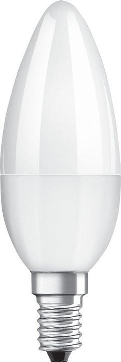 Actual product image Osram Superstar Classic B (E14, 40 W, 470 lm, 1 x, F)