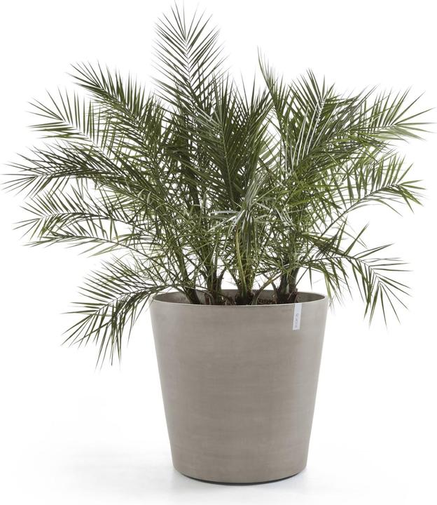 Produktbild Ecopots Amsterdam Wheels (100 cm)