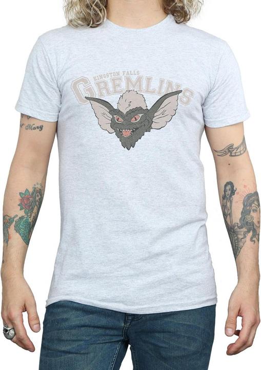 Image du produit Universal Textiles - T-shirt KINGSTON FALLS SPORT - Homme (S)