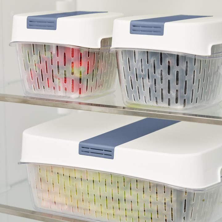 Produktbild Rotho Dynamic Box 1,6 l FRESH (1.60 l)