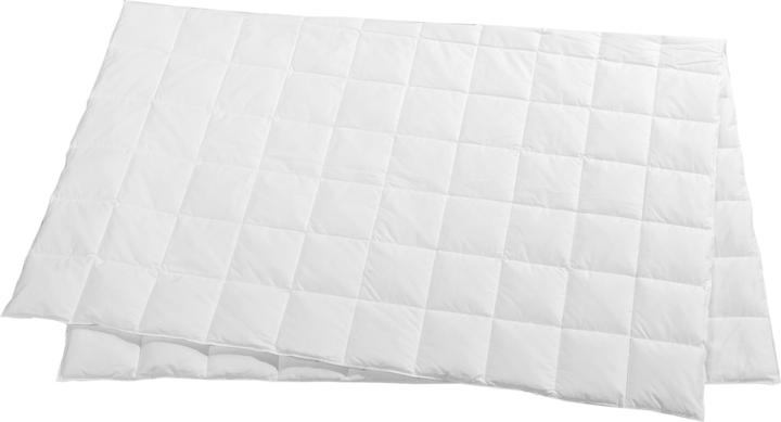 Image du produit Feelings by billerbeck Lou (380 g, 200 x 210 cm)