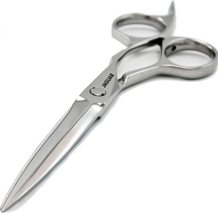 Produktbild Jaguar Heron (13.97 cm)