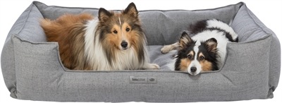 Actual product image Trixie Talis (Dog)