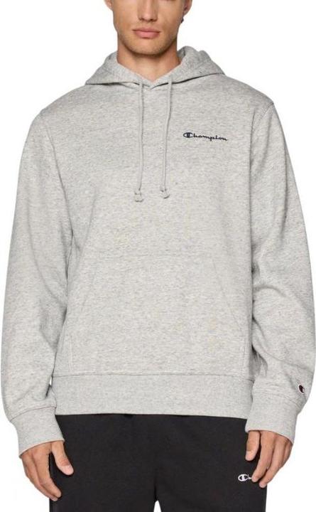 Actual product image Champion Hooded Sweatshirt (L)