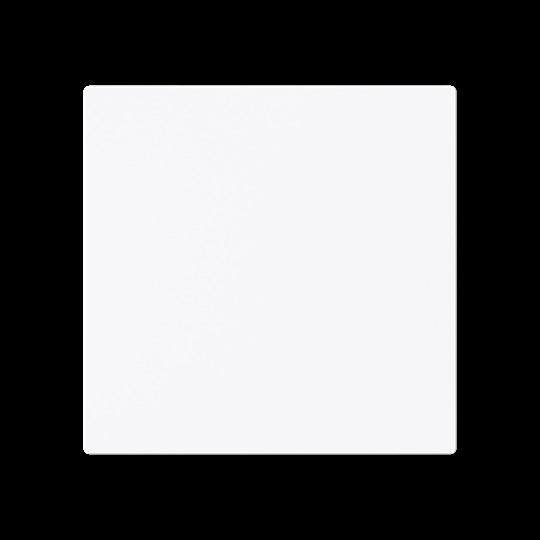 Produktbild Busch-Jaeger 1786-44G