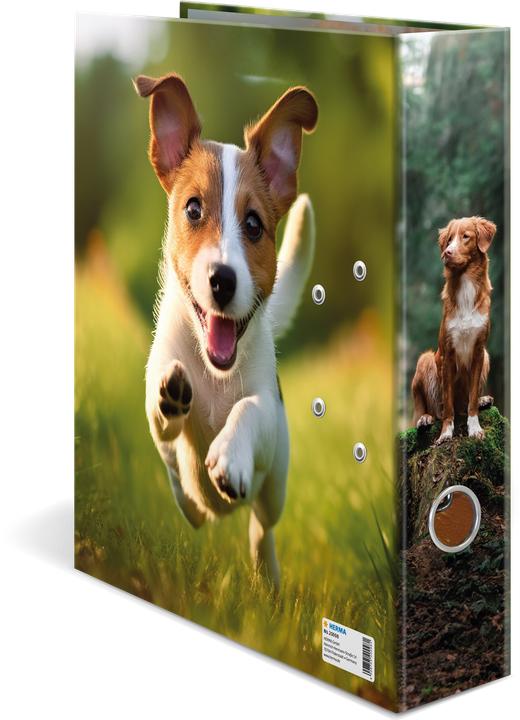 Immagine prodotto HERMA Motiv-Ordner A4 Hund (A4, 70 mm, 1 pz.)