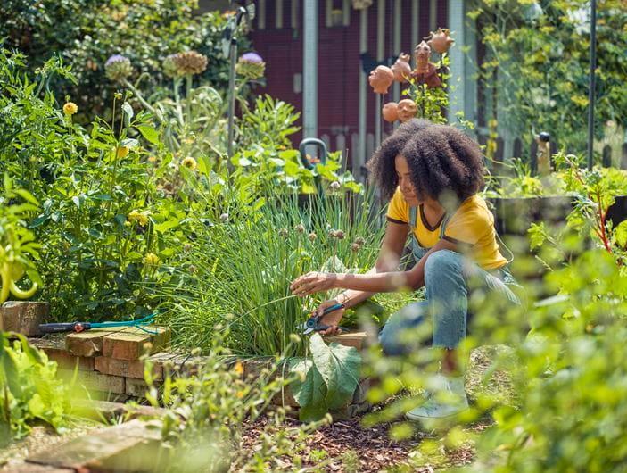 Actual product image Gardena ExpertCut secateurs