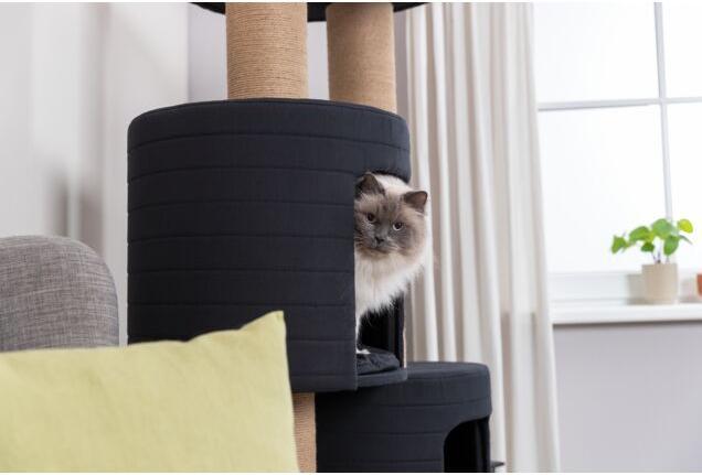 Produktbild Trixie Kratzbaum XXL Teites, 148 cm, Schwarz/Braun (148 cm, Schwarz, Braun)